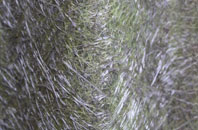 Caddington fibreglass roof work